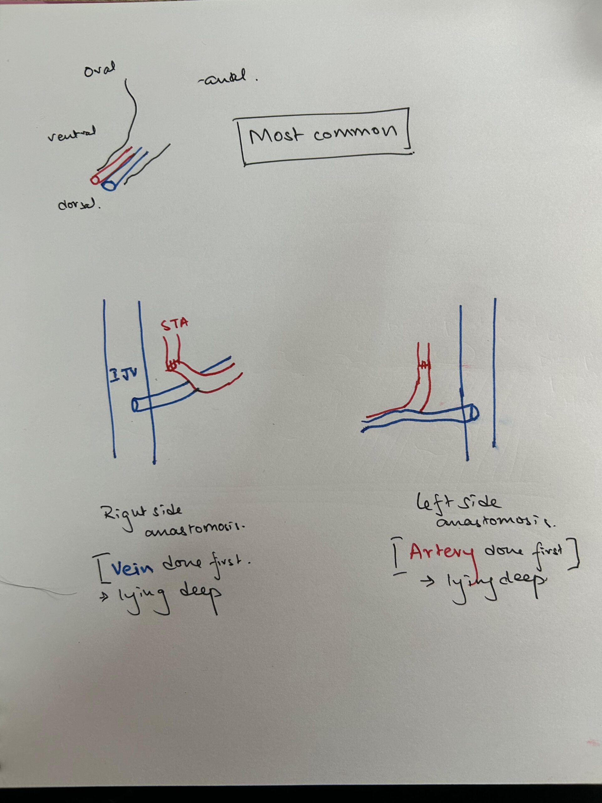 microsurgery